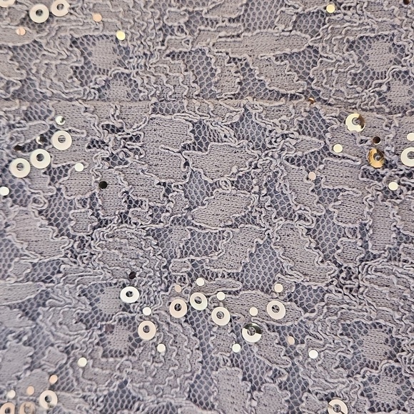 ALEX EVENINGS Long Gown Sequin Lace Bodice & Chifon Skirt, 8P - Picture 14 of 16